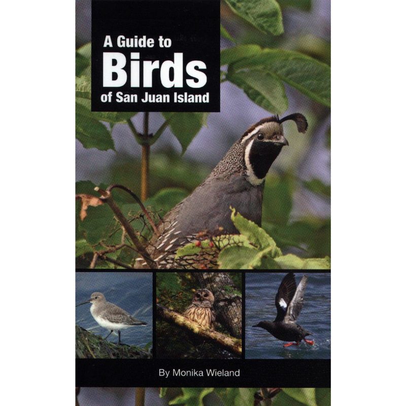 A Guide to Birds of San Juan Islands