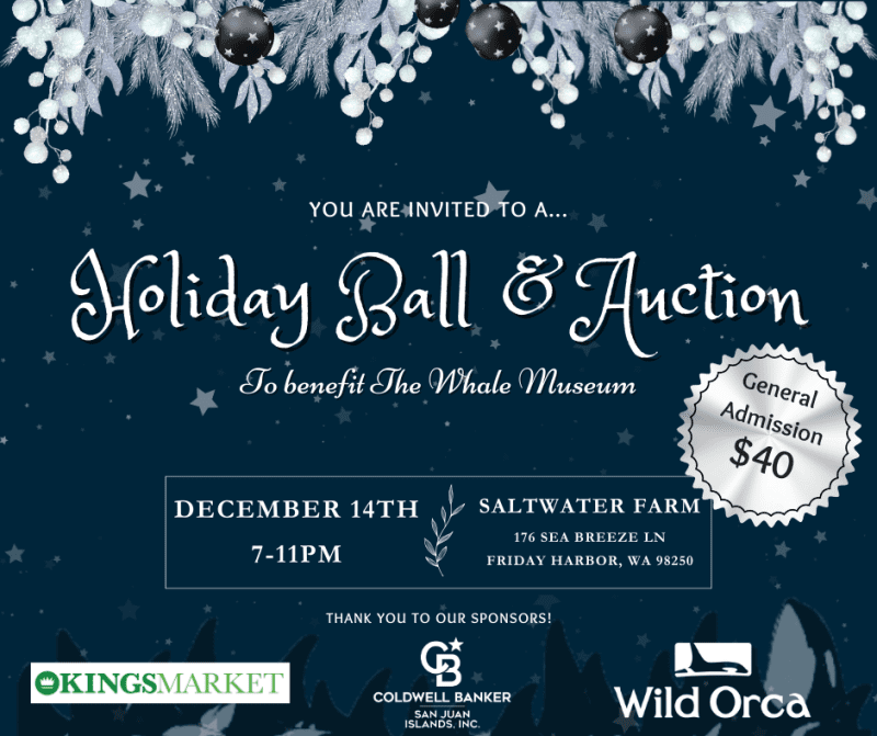 Ball and Auction Updated