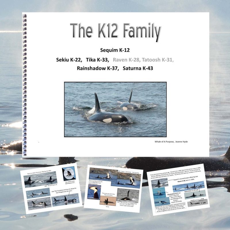 K12s Glimpsebook