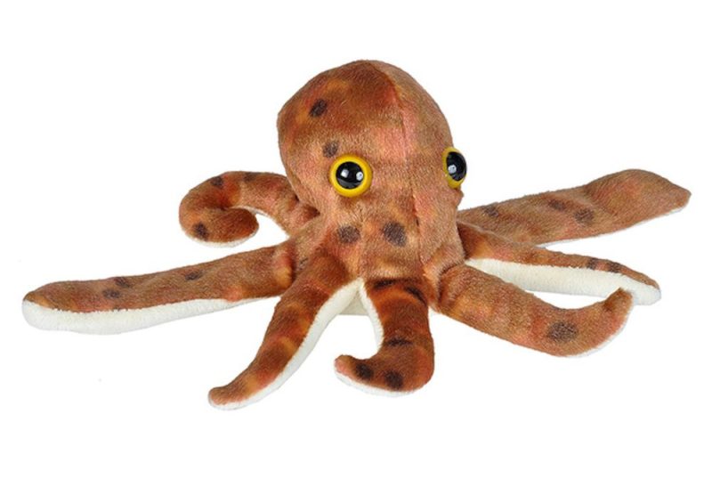 hugger octopus