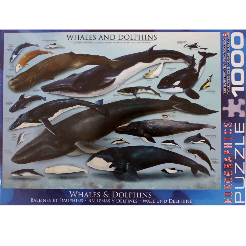 whales and dolphins puzzel